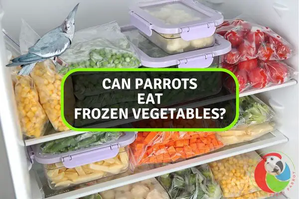 Can Parrots Eat Frozen Vegetables?