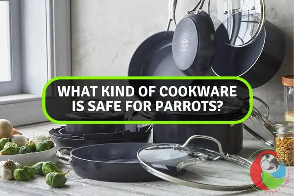 What Kind of Cookware Is Safe for Parrots?